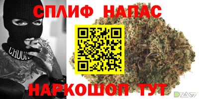 стафф Анжеро-Судженск