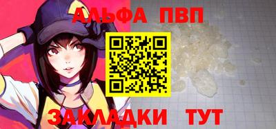 стафф Анжеро-Судженск